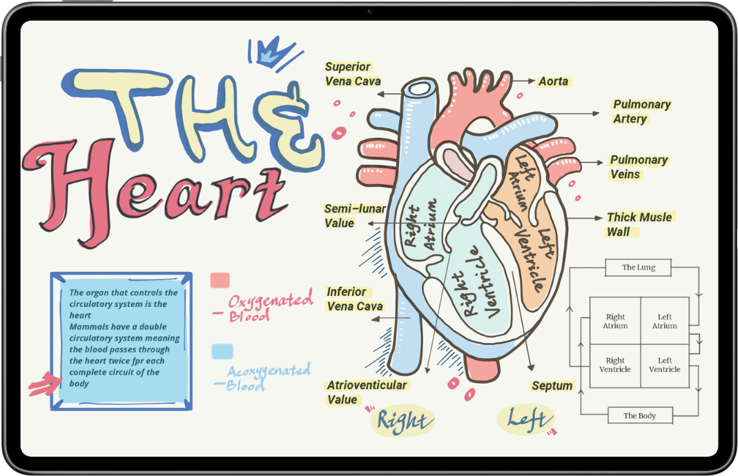 huawei matepad pro 12.6 笔记